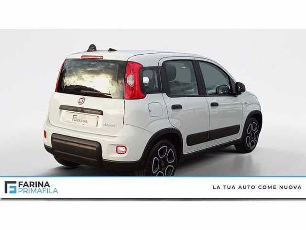 Fiat Panda usata a Napoli (5)