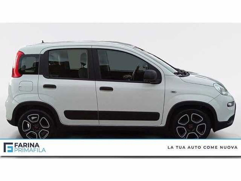 Fiat Panda usata a Napoli (6)