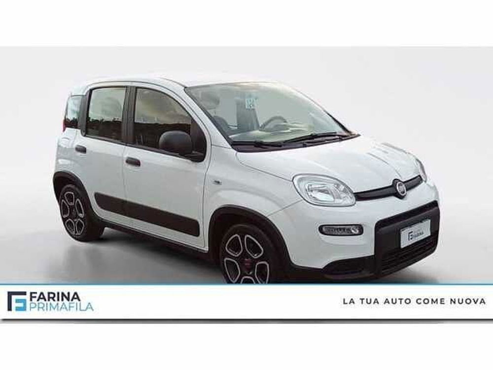 Fiat Panda usata a Napoli (7)