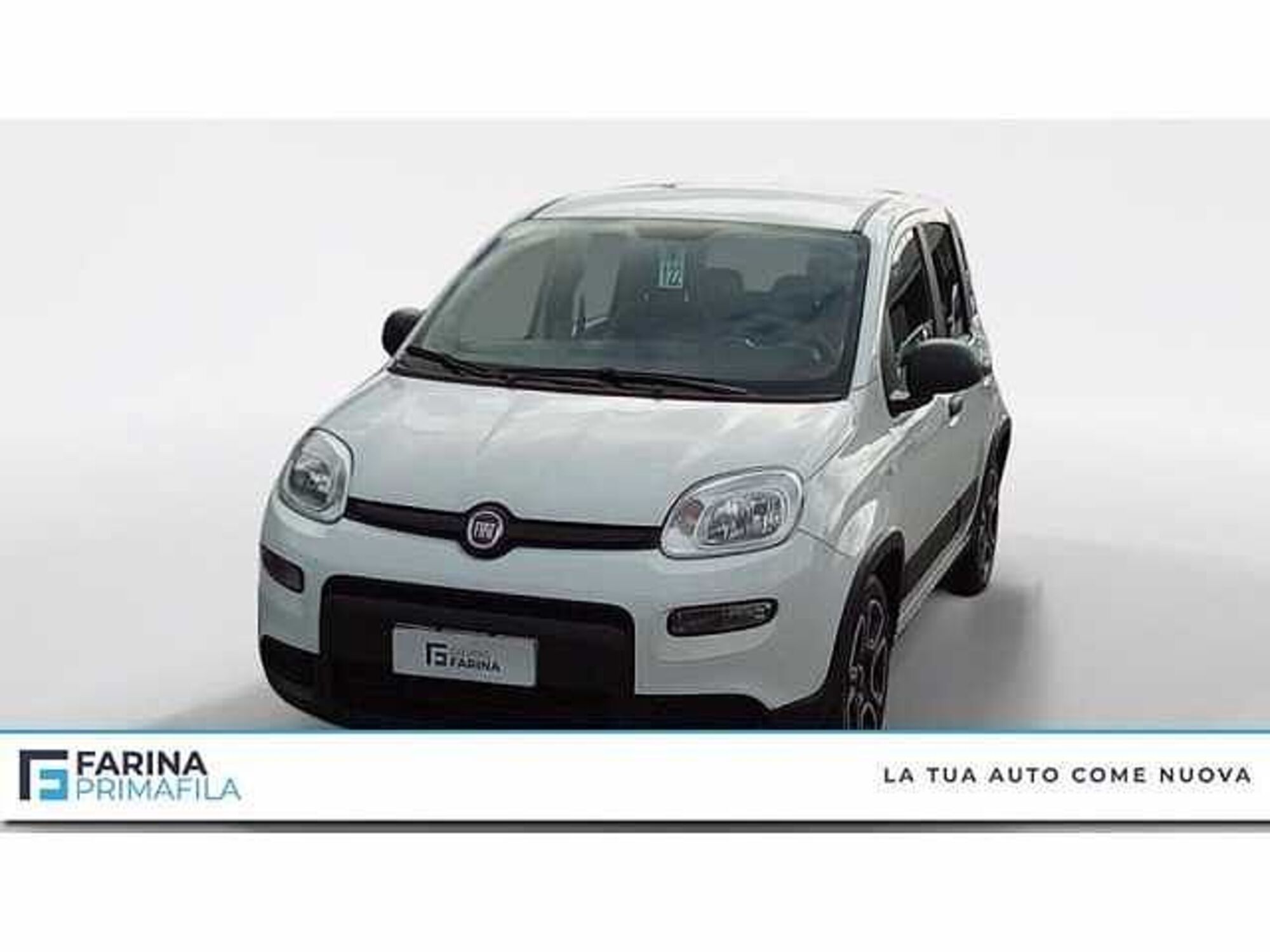 Fiat Panda 1.0 firefly hybrid s&amp;s 70cv 5p.ti del 2022 usata a Pozzuoli