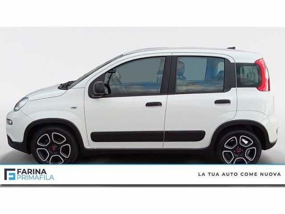 Fiat Panda usata a Napoli (2)