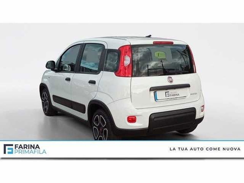 Fiat Panda usata a Napoli (3)