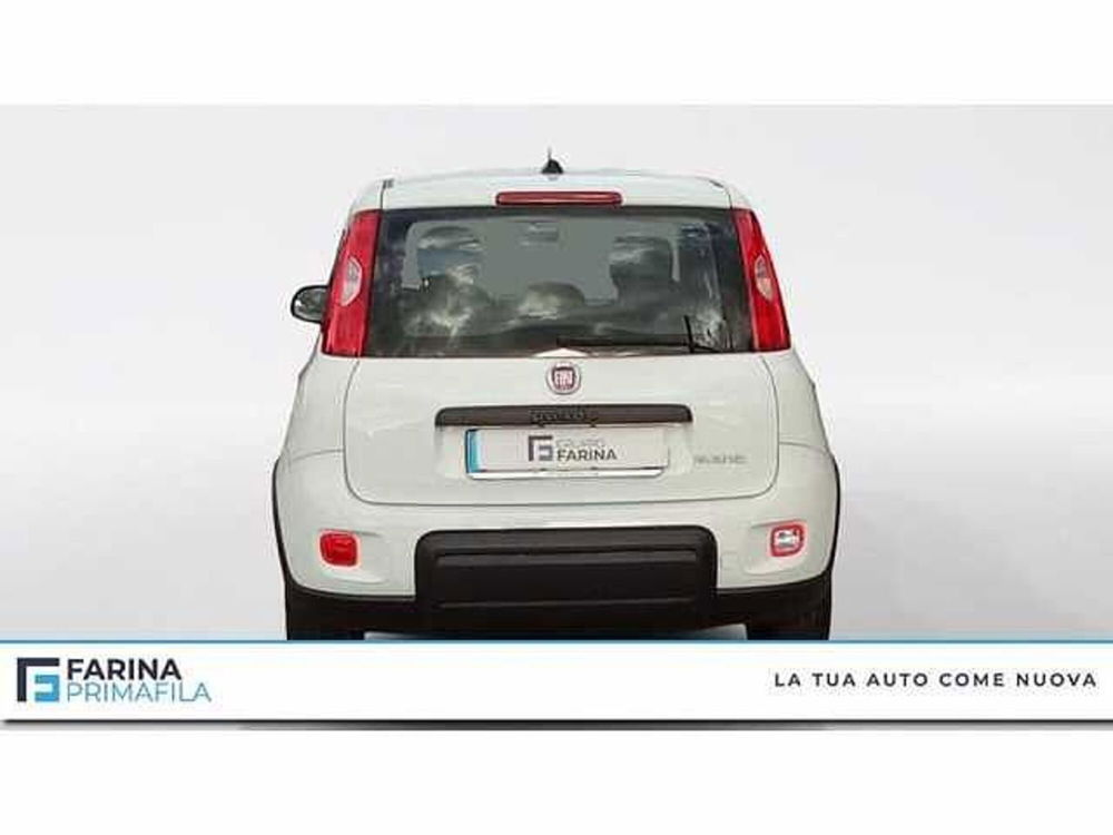 Fiat Panda usata a Napoli (4)