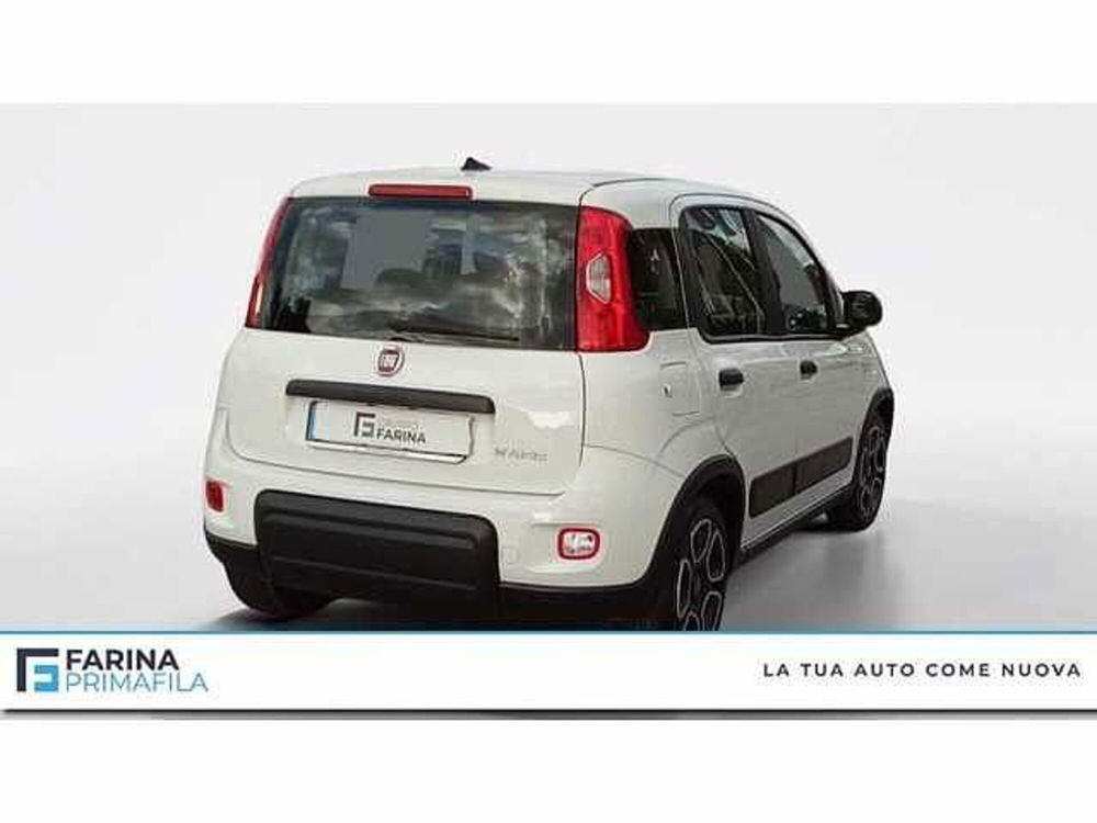 Fiat Panda usata a Napoli (5)