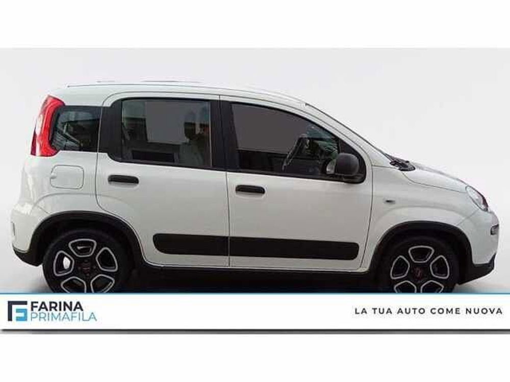 Fiat Panda usata a Napoli (6)