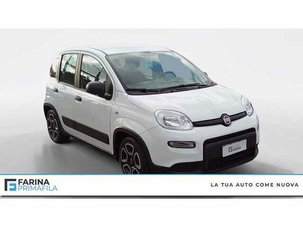 Fiat Panda usata a Napoli (7)