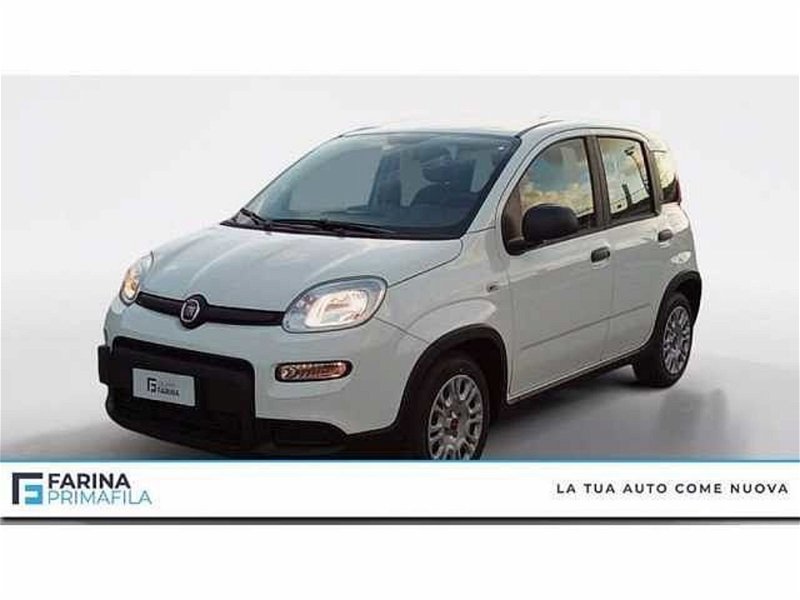 Fiat Panda (2011-->>) nuova a Pozzuoli
