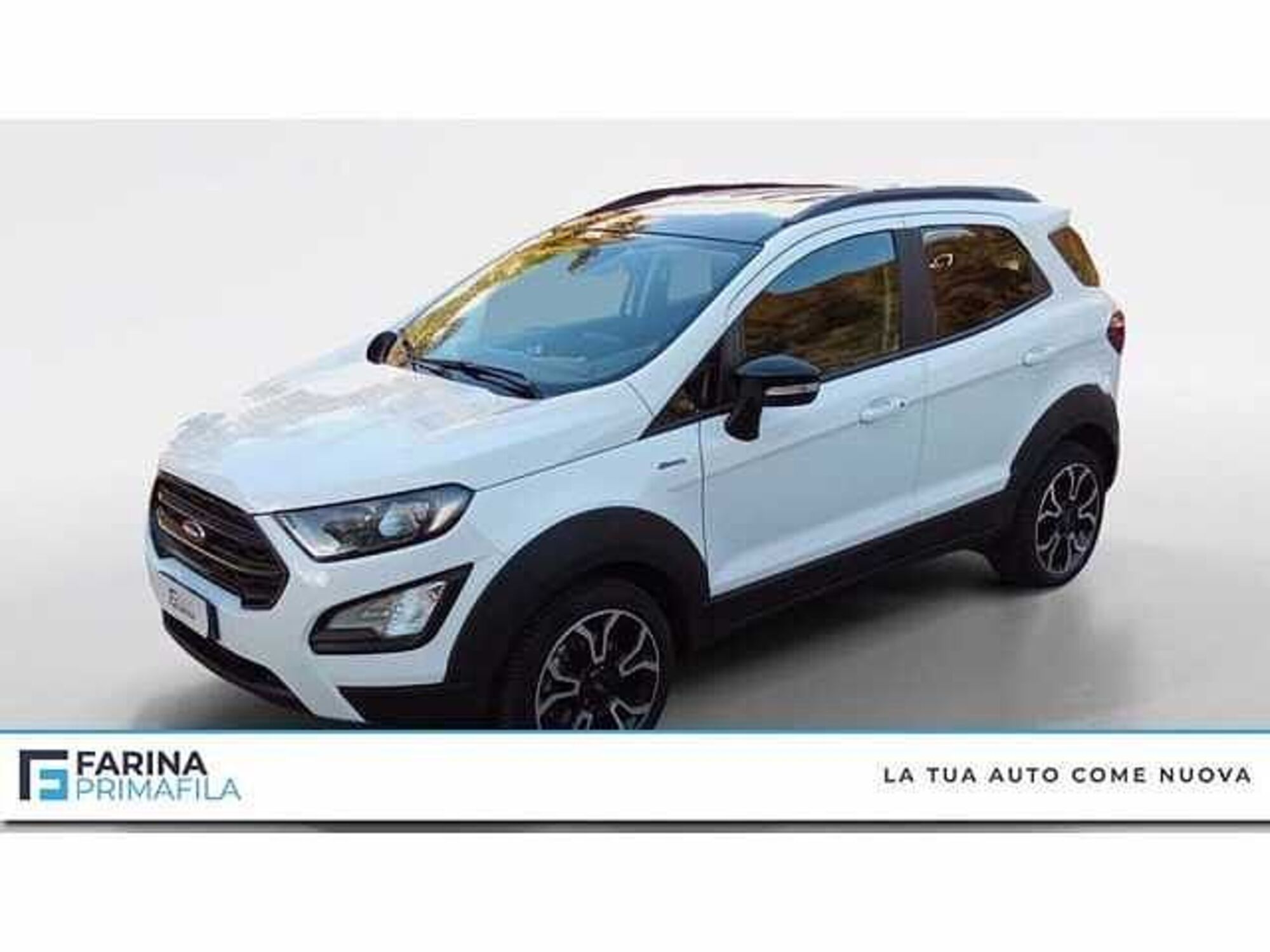 Ford EcoSport 1.0 EcoBoost 125 CV Start&amp;Stop Active del 2021 usata a Pozzuoli