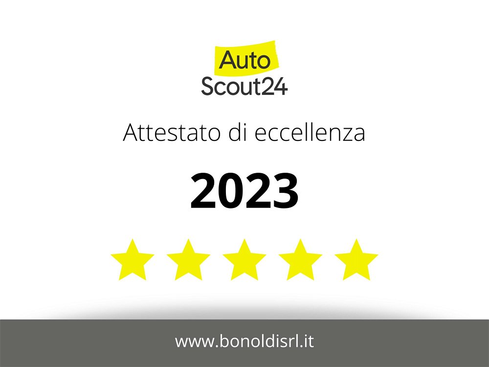 Peugeot 208 BlueHDi 100 Stop&Start 5 porte Active  del 2019 usata a Montichiari (2)