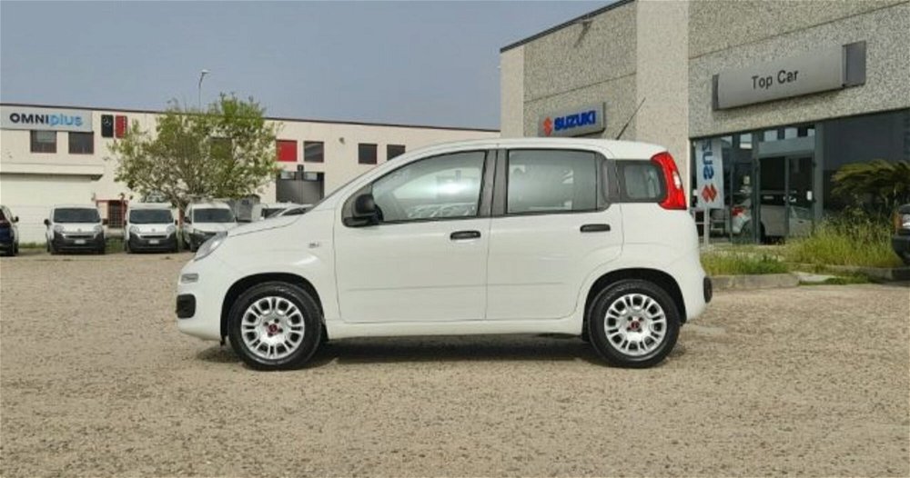 Fiat Panda 1.2 Easy Van 4 posti  del 2019 usata a Oristano (2)