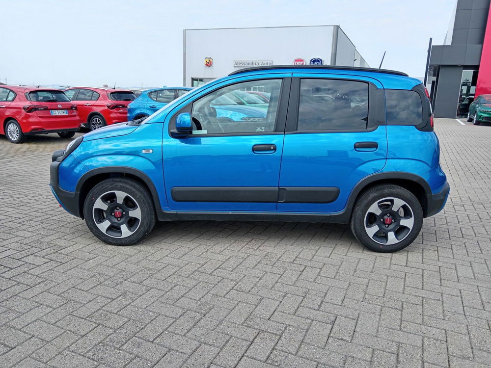 Fiat Panda Cross usata a Alessandria (8)