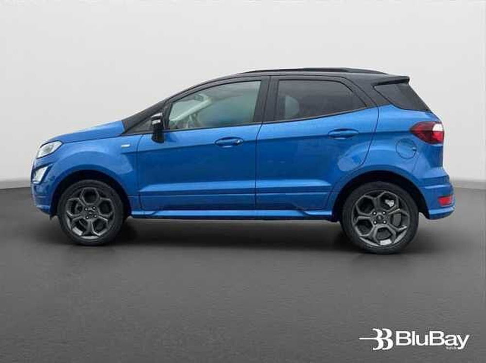 Ford EcoSport usata a Livorno (10)