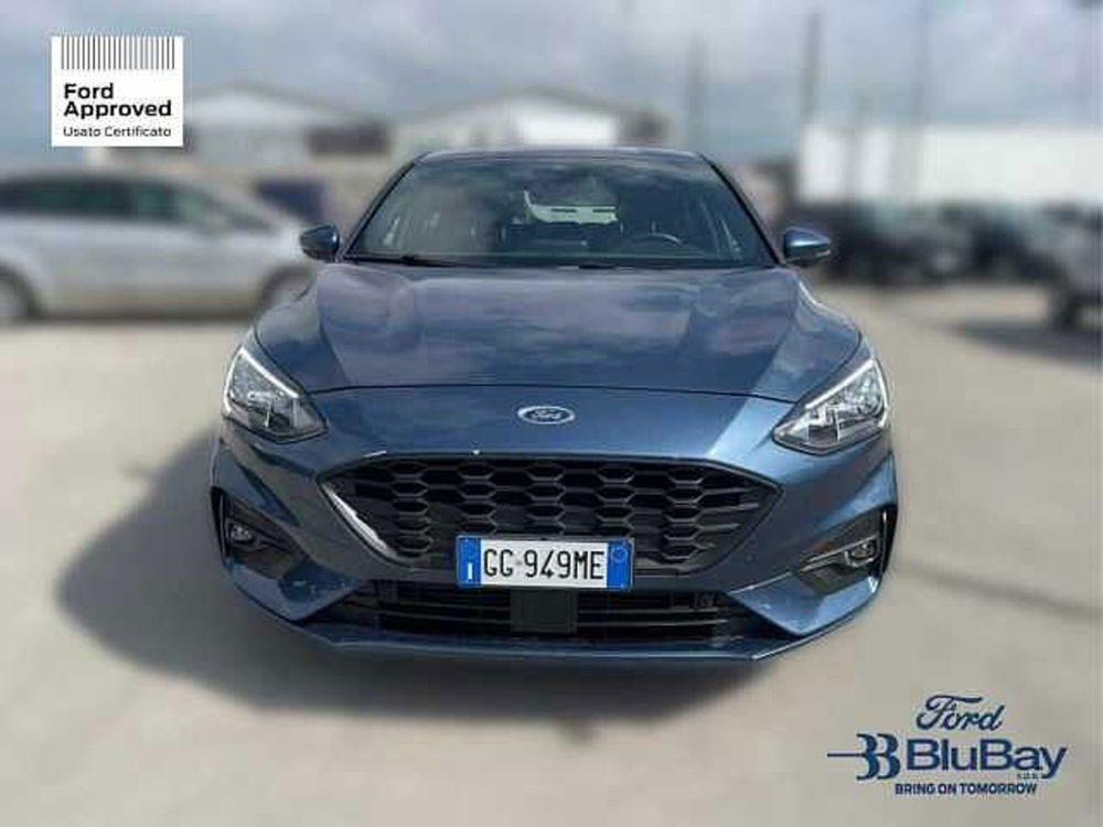 Ford Focus usata a Livorno (2)