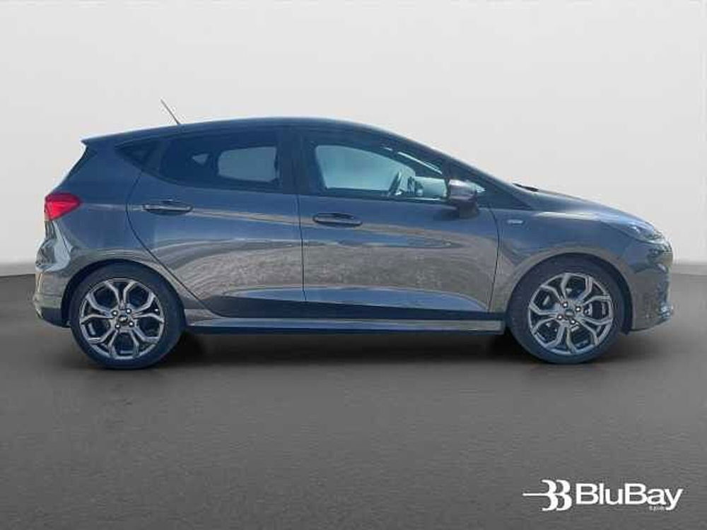 Ford Fiesta usata a Livorno (4)