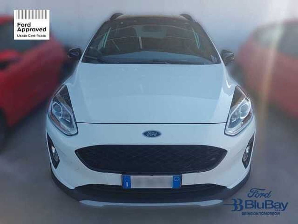 Ford Fiesta usata a Livorno (2)