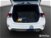 Ford Focus 1.5 EcoBlue 120 CV 5p. ST-Line  del 2021 usata a Livorno (12)