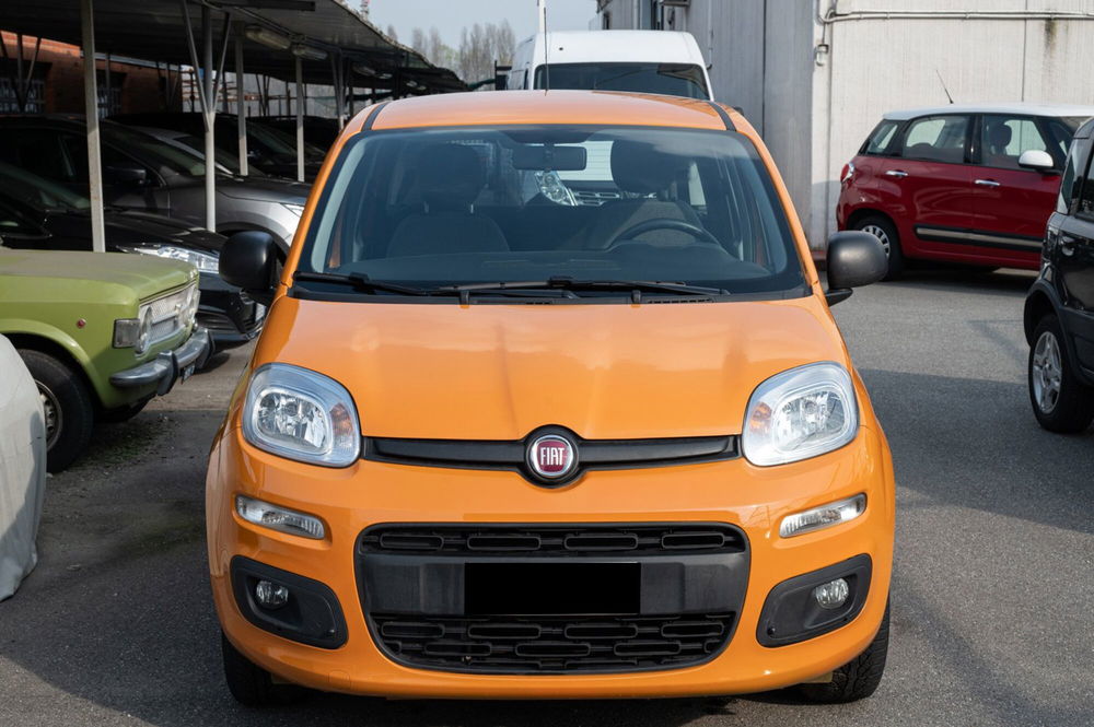 Fiat Panda 1.2 Active EasyPower del 2021 usata a Rivoli (2)