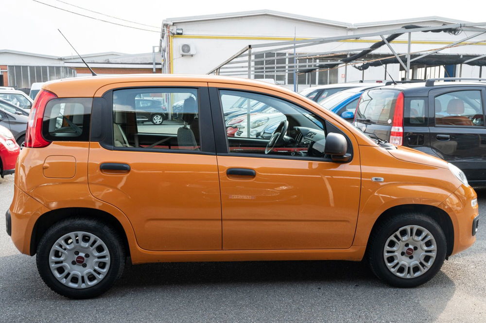 Fiat Panda 1.2 Active EasyPower del 2021 usata a Rivoli (4)