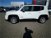 Jeep Renegade 1.6 Mjt 120 CV Limited  del 2020 usata a Alessandria (9)