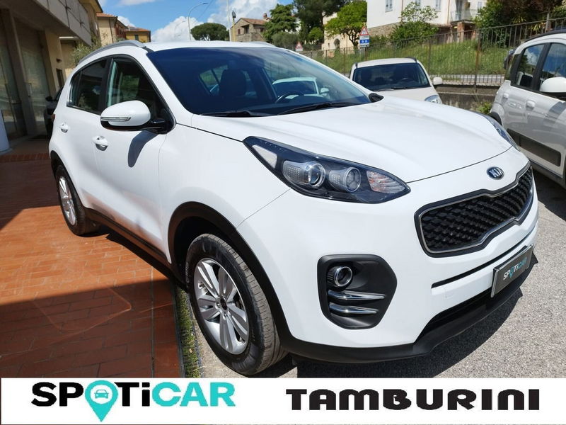 Kia Sportage 1.6 GDI 2WD Cool  del 2017 usata a Cortona