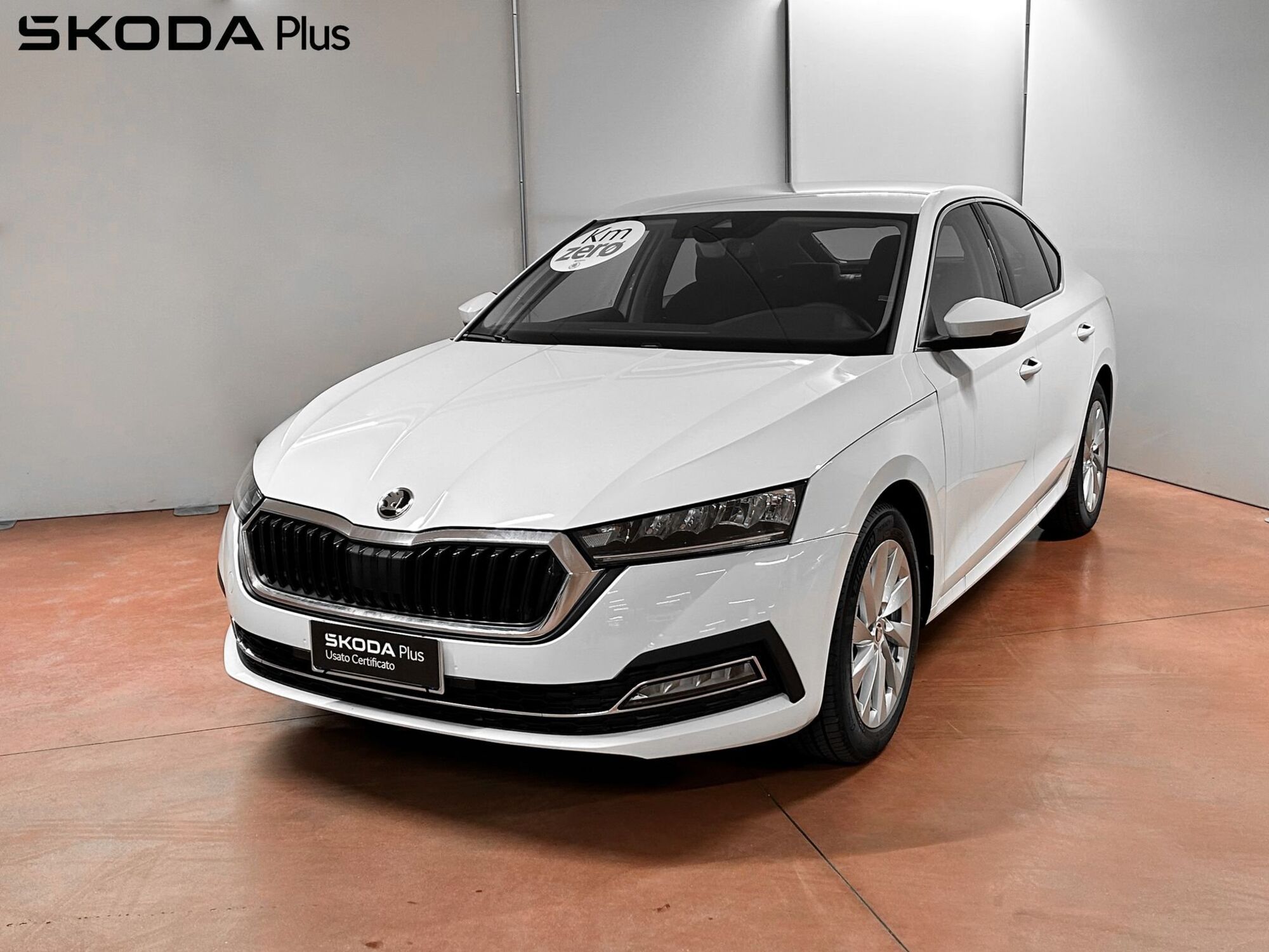 Skoda Octavia 1.0 TSI Executive nuova a Padova