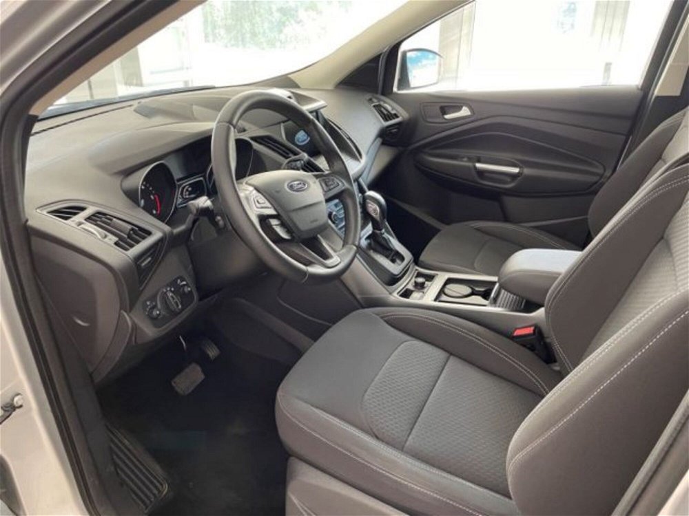 Ford Kuga 2.0 TDCI 120 CV S&S 2WD Powershift ST-Line  del 2019 usata a Caltanissetta (2)