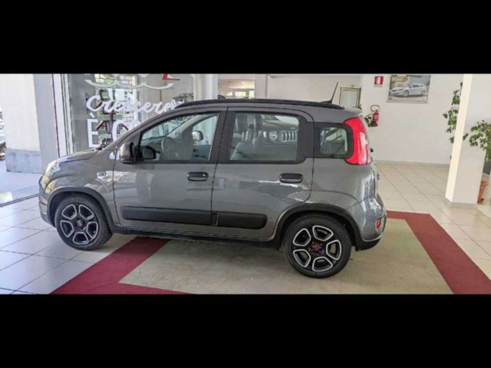 Fiat Panda usata a Caltanissetta (3)