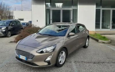 Ford Focus 1.5 EcoBlue 120 CV aut. 5p. Active Style del 2019 usata a Castellammare di Stabia