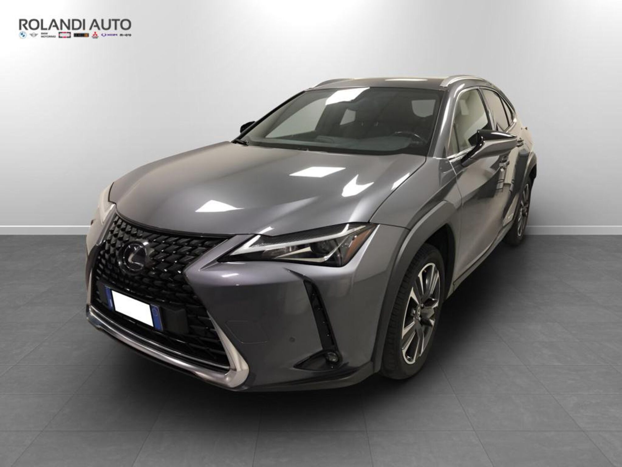 Lexus UX Hybrid 4WD Premium  del 2020 usata a Casale Monferrato