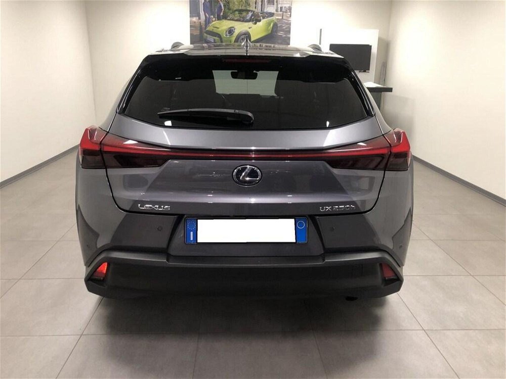 Lexus UX Hybrid 4WD Premium  del 2020 usata a Casale Monferrato (5)