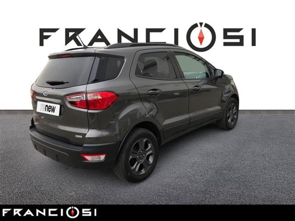 Ford EcoSport 1.0 EcoBoost 125 CV Titanium S del 2018 usata a Mirandola (5)