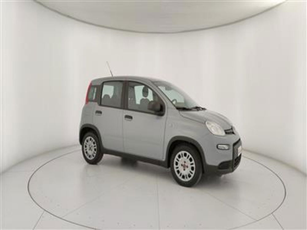 Fiat Panda usata a Bari (10)