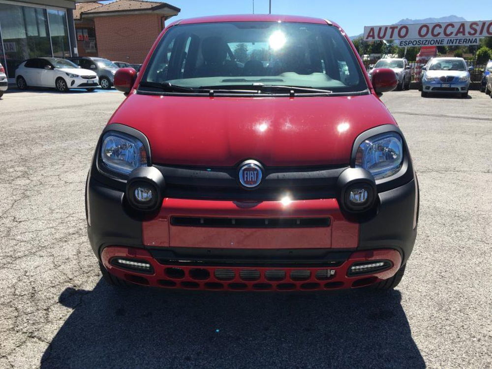 Fiat Panda Cross nuova a Cuneo (4)