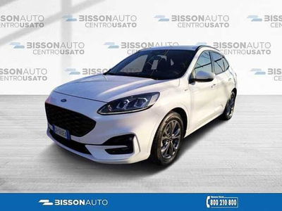 Ford Kuga 1.5 EcoBlue 120 CV 2WD ST-Line  del 2022 usata a Grumolo delle Abbadesse