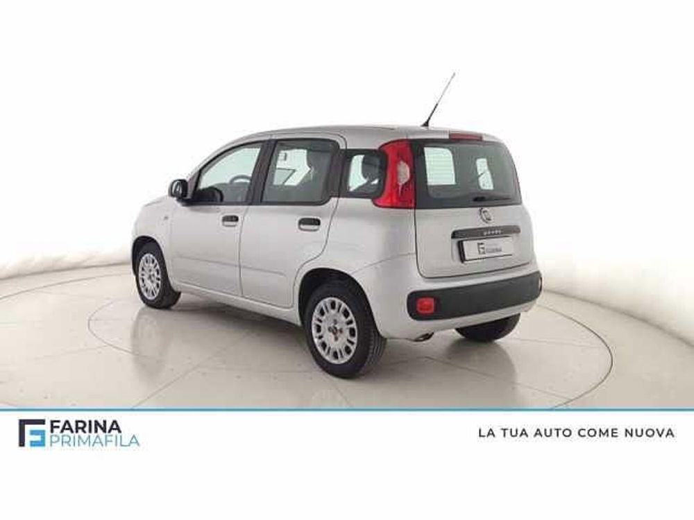 Fiat Panda usata a Napoli (5)