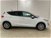 Ford Fiesta 1.0 Ecoboost 125 CV DCT Titanium del 2020 usata a Cesena (12)