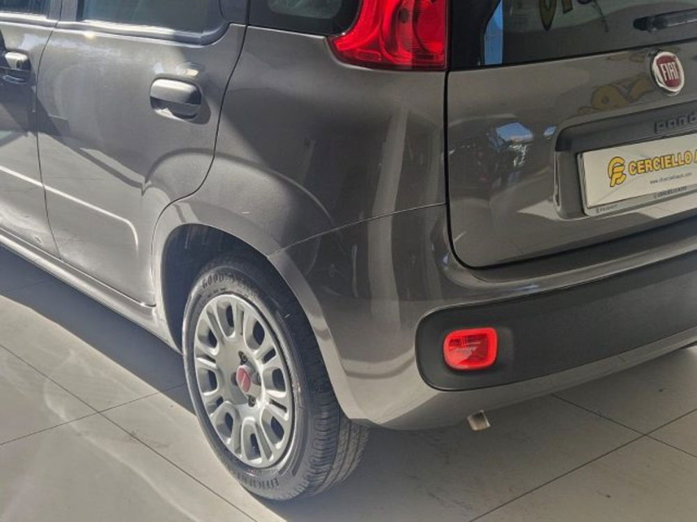 Fiat Panda usata a Napoli (2)