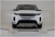Land Rover Range Rover Evoque 2.0D I4-L.Flw 150 CV del 2020 usata a Torino (8)
