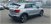 Audi Q2 Q2 35 TFSI S tronic Admired  del 2021 usata a Lainate (7)