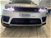 Land Rover Range Rover Sport 3.0 SDV6 249 CV HSE Dynamic del 2019 usata a Agliana (8)