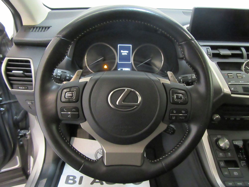 Lexus NX usata a Firenze (11)