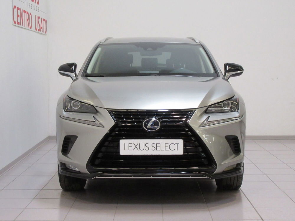 Lexus NX usata a Firenze (5)