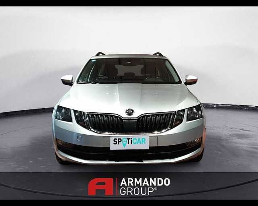 Skoda Octavia Station Wagon usata a Cuneo (2)