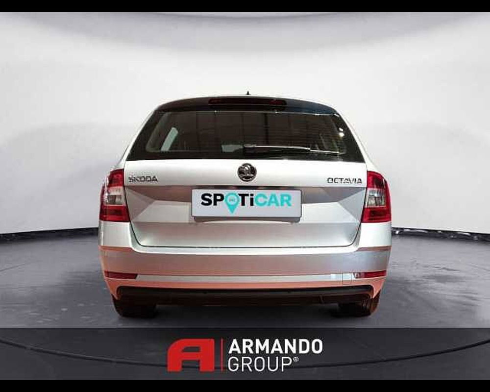 Skoda Octavia Station Wagon usata a Cuneo (5)