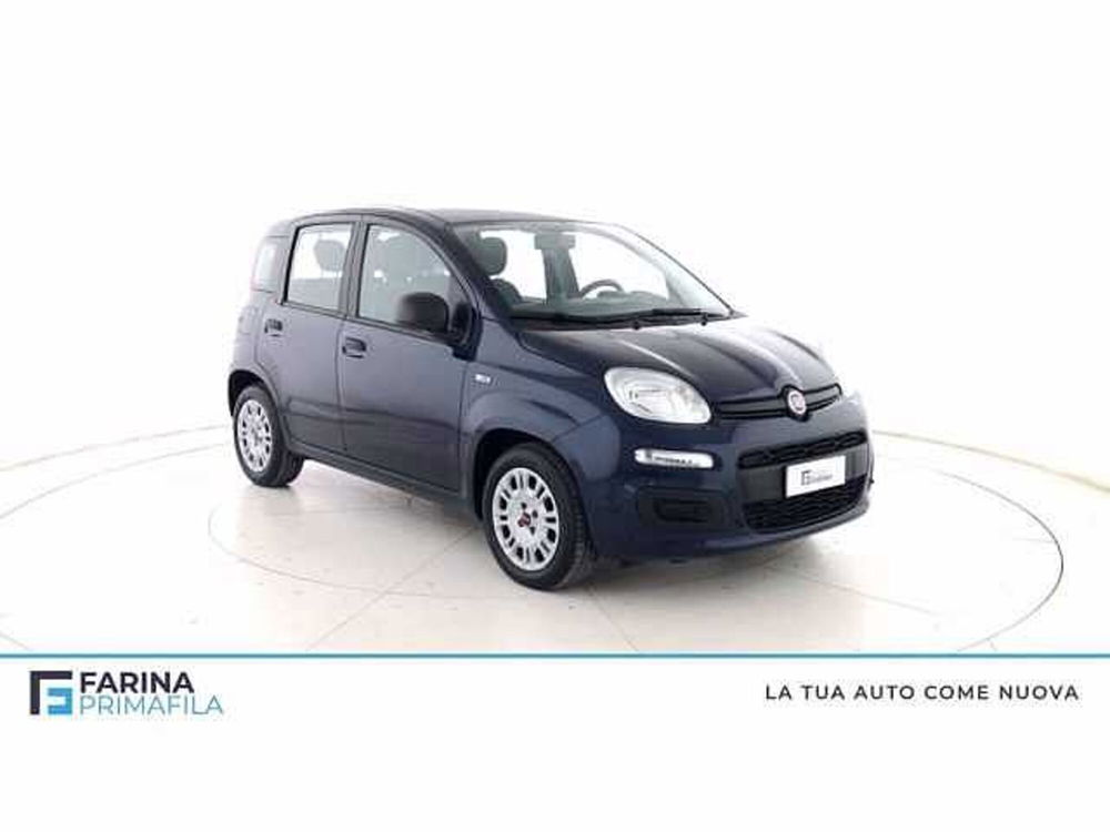 Fiat Panda usata a Napoli (2)