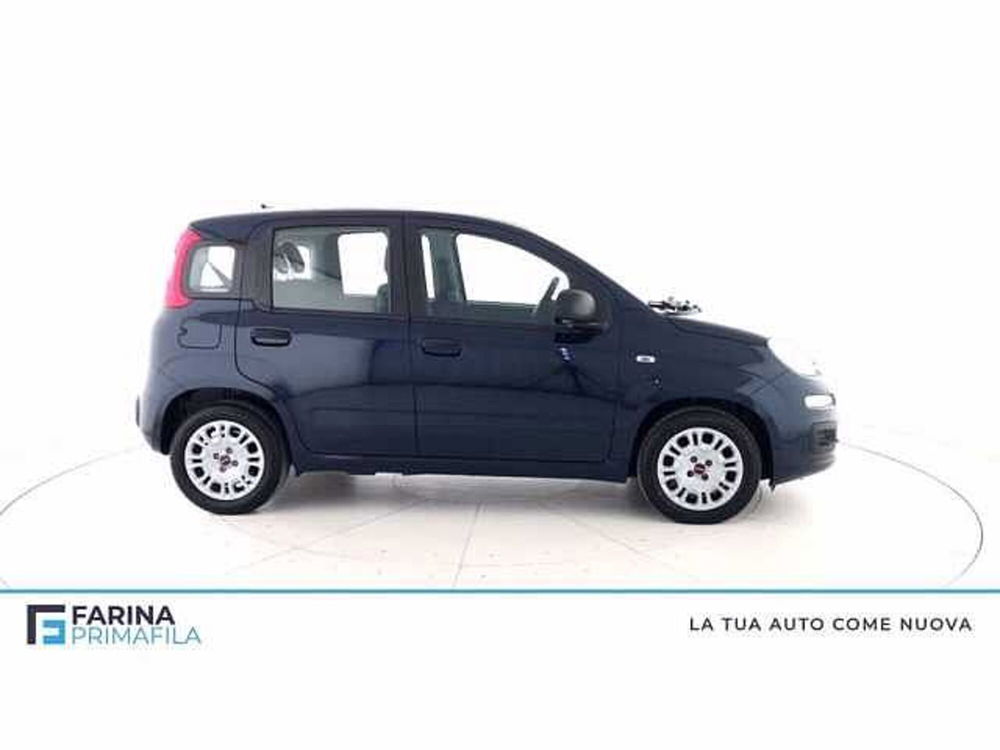 Fiat Panda usata a Napoli (3)