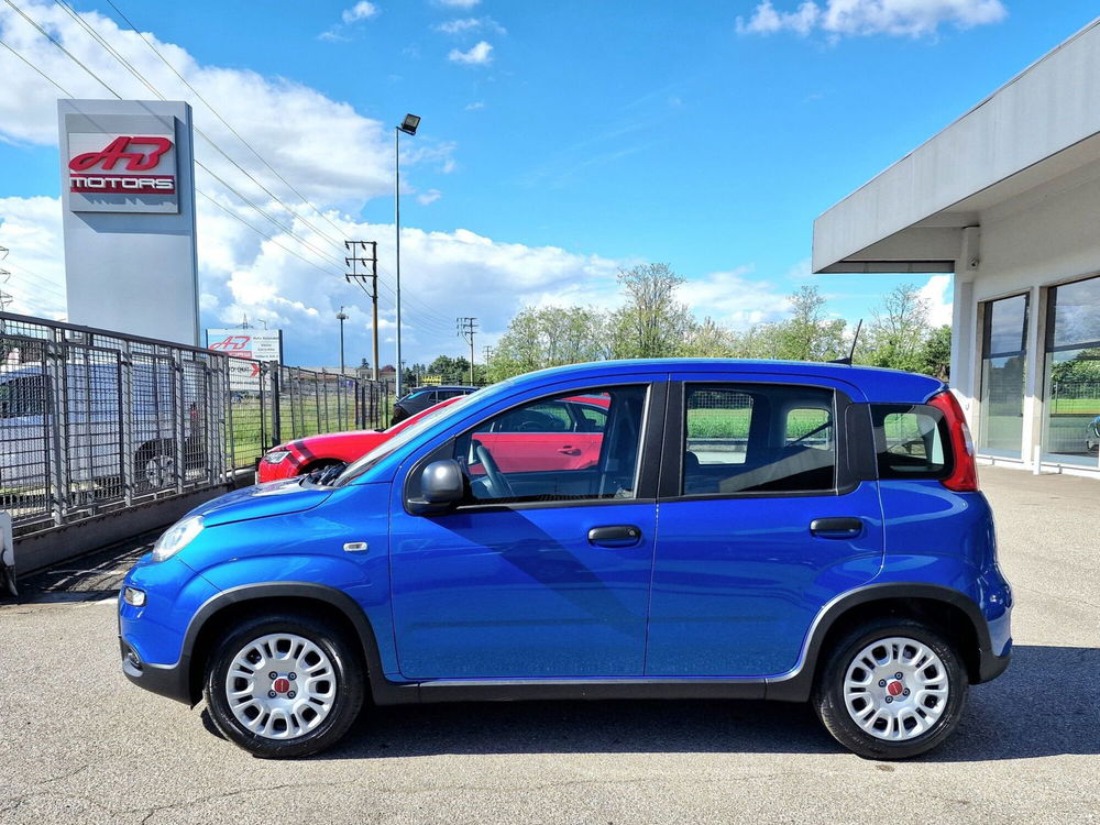 Fiat Panda nuova a Varese (8)