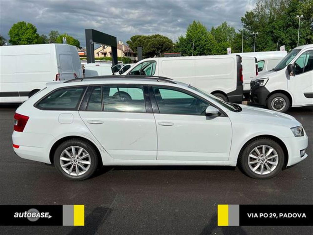 Skoda Octavia Station Wagon 1.6 TDI CR 110 CV Wagon Ambition del 2016 usata a Albignasego (4)