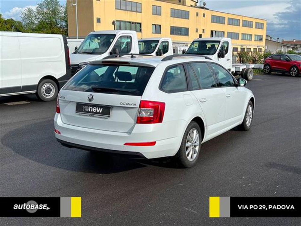 Skoda Octavia Station Wagon 1.6 TDI CR 110 CV Wagon Ambition del 2016 usata a Albignasego (5)