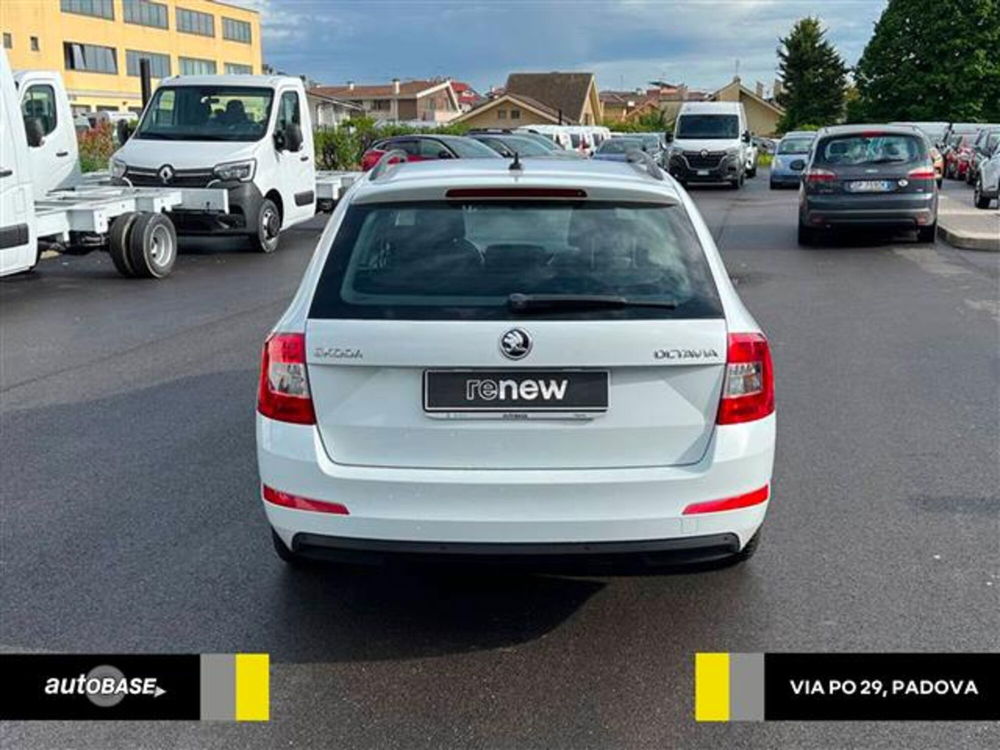 Skoda Octavia Station Wagon usata a Padova (6)